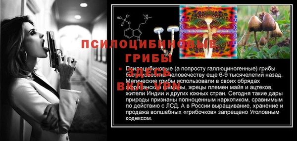 дживик Алексеевка